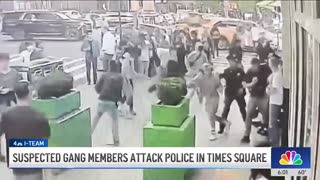 Suspected Gang Members Attack Cops In NY