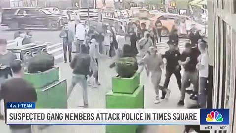 Suspected Gang Members Attack Cops In NY