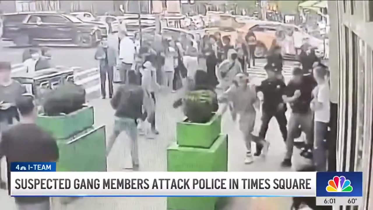 Suspected Gang Members Attack Cops In NY