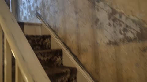 More peel stripping