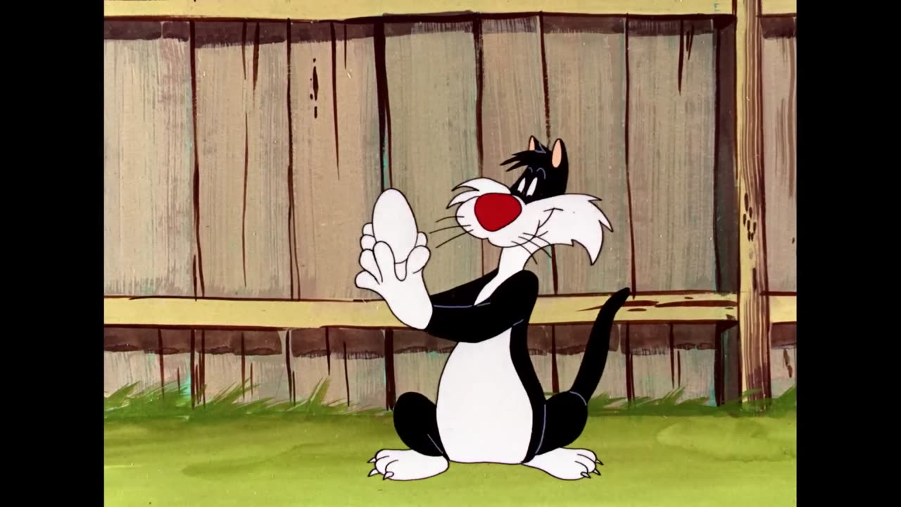 Looney Tunes Foghorn Leghorn Compilation 17 minutes