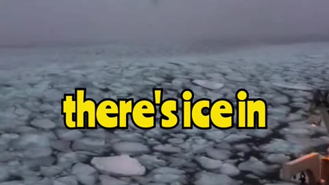 Sea: Now in Crunchy Mode ❄️🌊🥶
