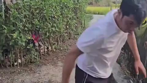 Try Not to Laugh Challenge – Hilarious Fails & Funny Moments Compilation!