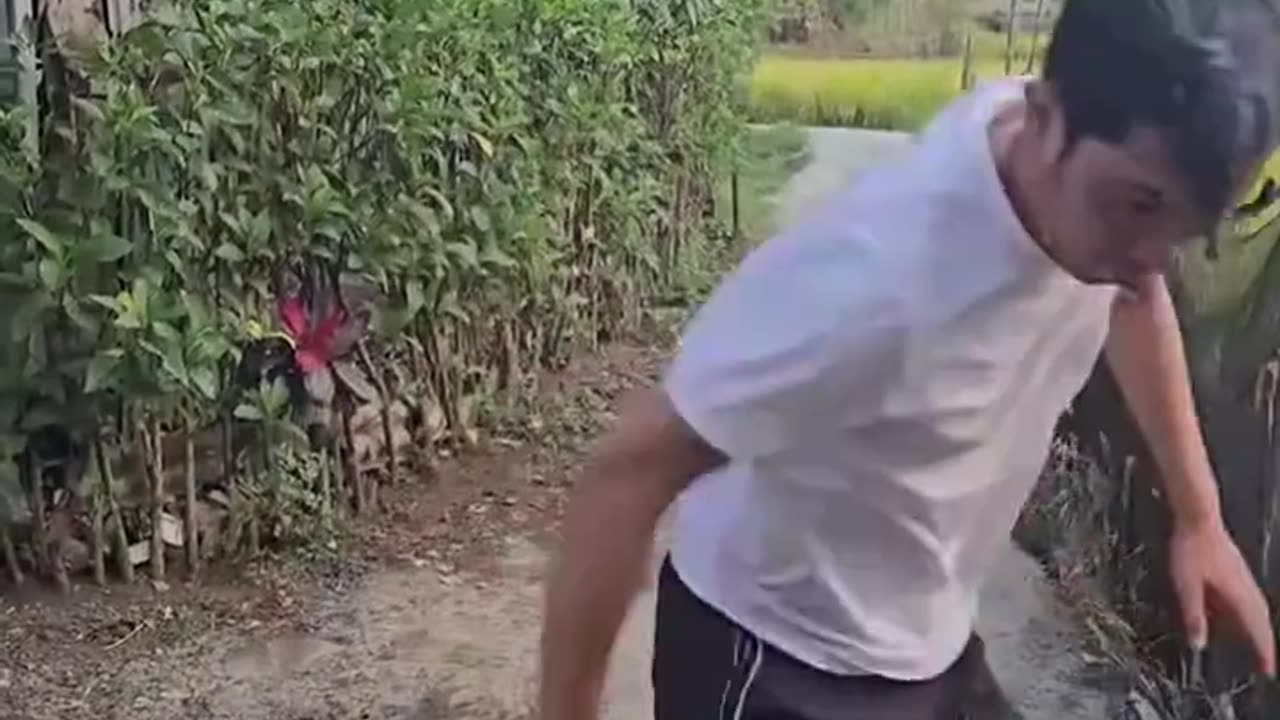 Try Not to Laugh Challenge – Hilarious Fails & Funny Moments Compilation!