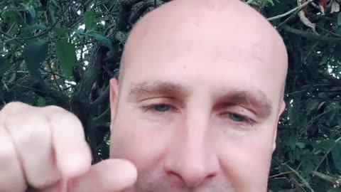 The Largest Mistake to Make in Reddit