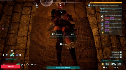 BtwStinger & MrsBtws The Gaming Spouses