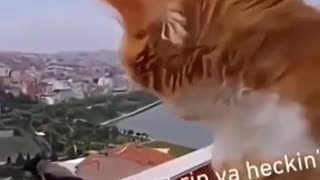 😂🎬 You Won't Believe This Epic Argument! Absolute Cinema | FunFM