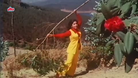 Bollywood Oldies to Enjoy