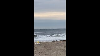 LONG COLD WALK BY THE OCEAN!