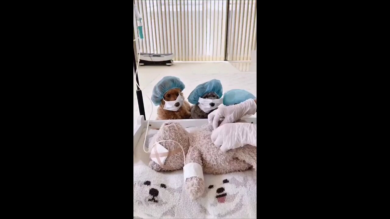 Will he be ok? 😅