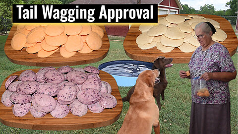 Paws-itively Perfect! 3 Easy Homemade Frozen Yogurt Treats, Inspirational Thought