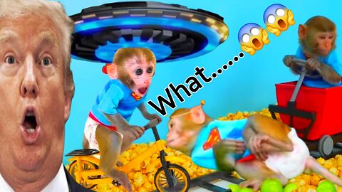 Bonmonkeykiki U.F.O video|| Animalht video||animal funny moment video...