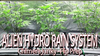 Alien Hydro RAIN System, Chimera Junky Prep For Flower