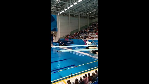 funny cat olympics