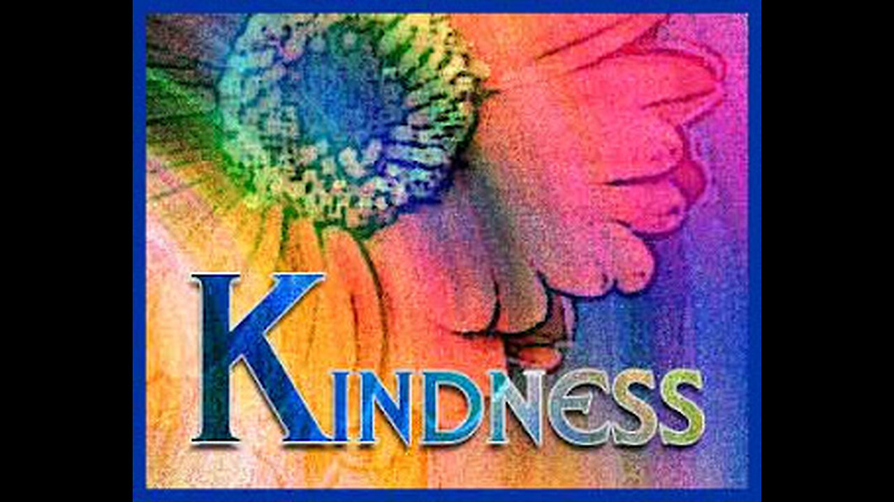 Law of Kindness - Nov 2025