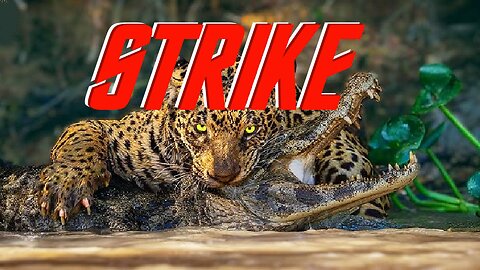STRIKE