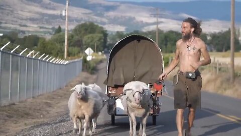 "Unveiling the Global Nomad's Sustainable Sheep-Based Doomsday Preparation Strategy"