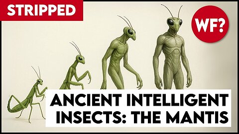 Earth's Mantis Overlords | They've Been Here all Along (STRIPPED)