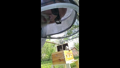starting my 1st Bee hive pt1