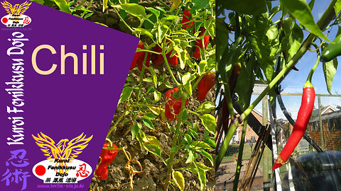 080 - Chili