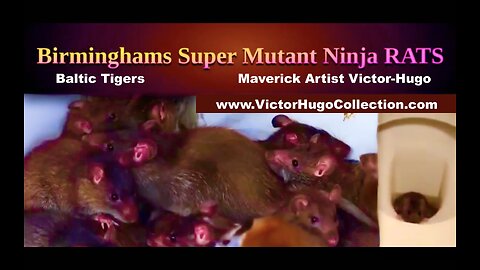 World Media Covers Up Man Made Birmingham Mutant Rat Plague Created To Depopulate Planet Agenda 2030