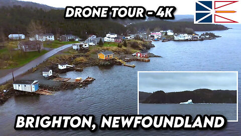 🌊 Brighton, Newfoundland & Labrador 🌅 4K Drone