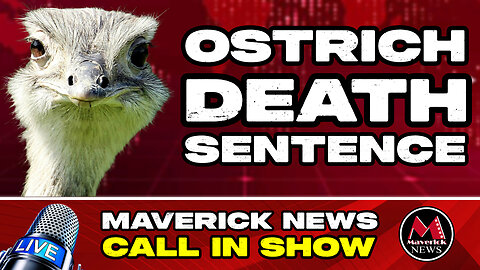 B.C. Ostrich Farm Fights Government Avian Flu Kill Order For Entire Flock | Maverick News