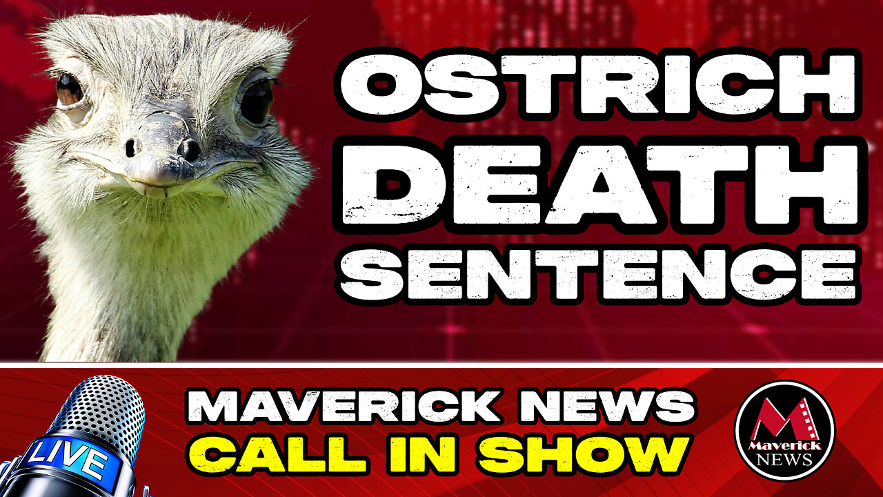 B.C. Ostrich Farm Fights Government Avian Flu Kill Order For Entire Flock | Maverick News