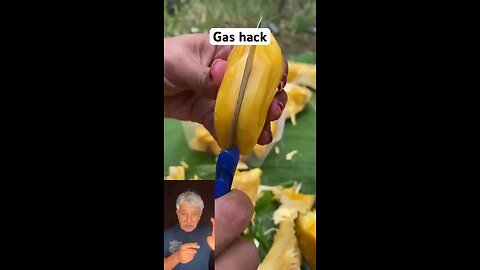 satisfying Video