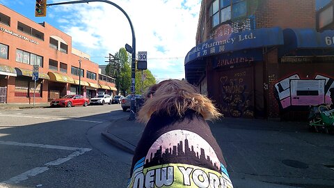 I Smelled a Fire so Went looking for the fire DTES Vancouver and Ran into A Murder Scene Instead 😱