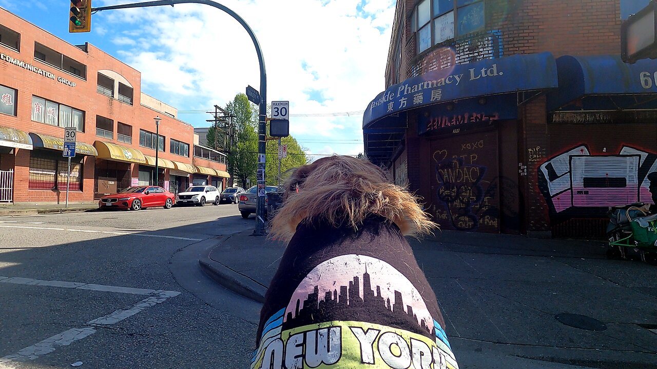 I Smelled a Fire so Went looking for the fire DTES Vancouver and Ran into A Murder Scene Instead 😱