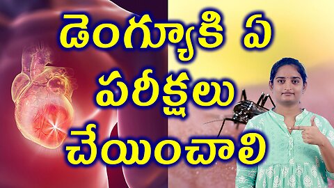 డెంగ్యూకి ఏ పరీక్షలు చేయించాలి Dengue Fever Tests & Investigations Homeopathy Treatment Medicine