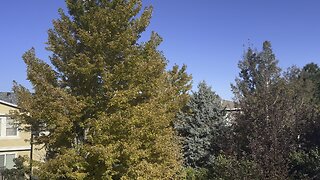 What a nice day today