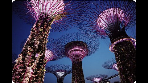 Low-angle Photography of Gardens by the Bay