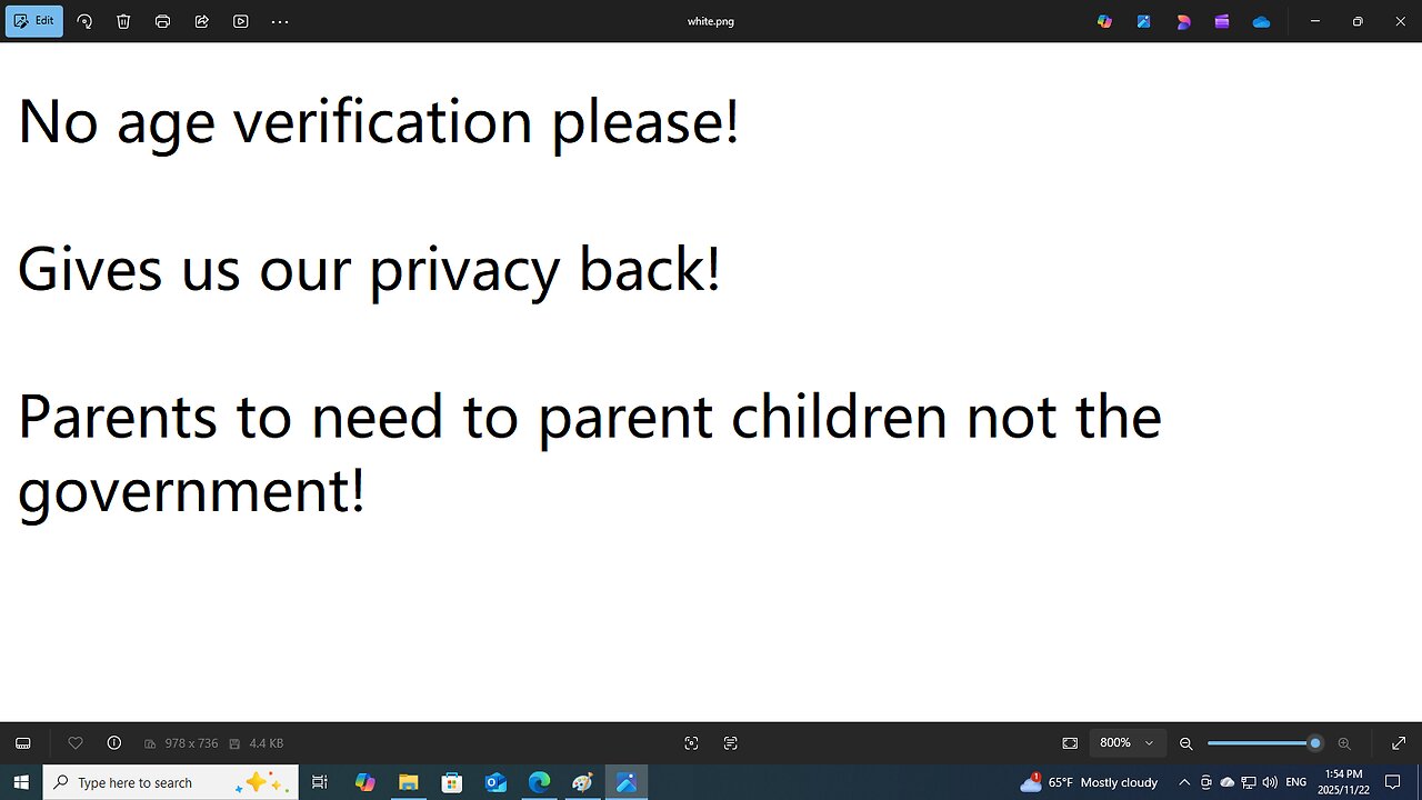 How Can We Protest Against Age Verification?