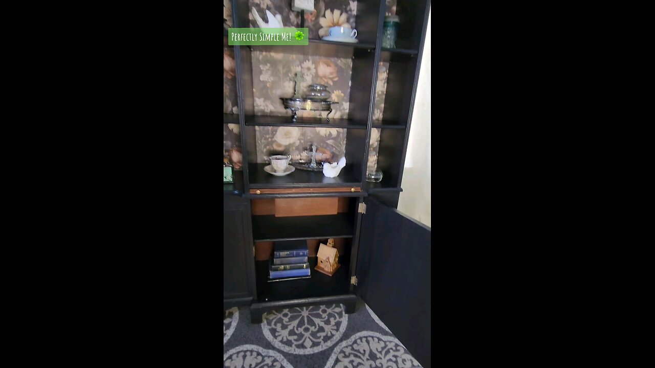 Beautiful Bookshelf/Decor Cabinet