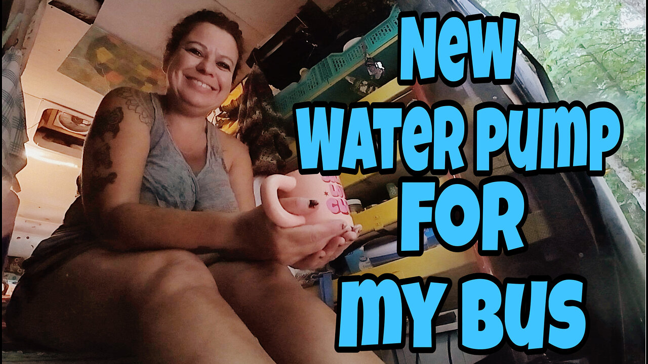 Got my new water pump for my bus and more paint projects