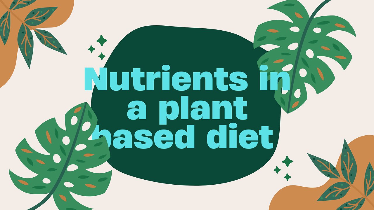 nutrition of a plant based diet
