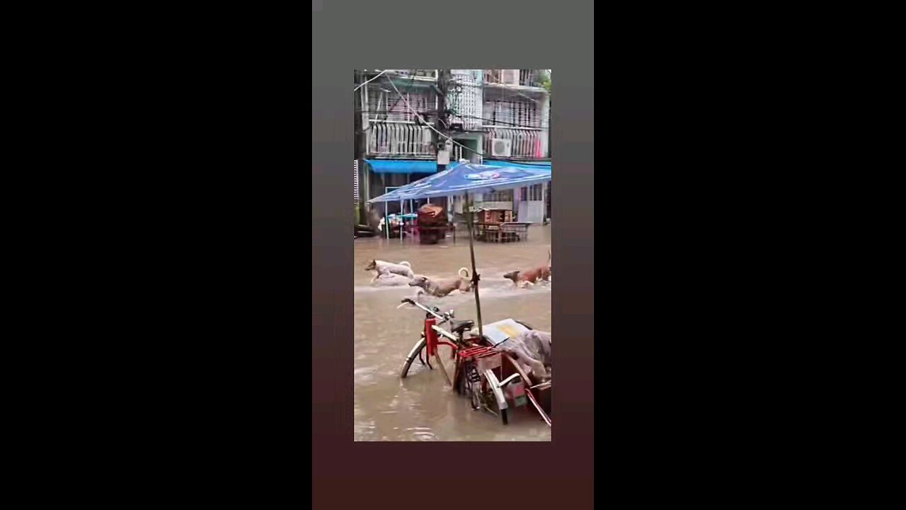 मौज करेगे आजा