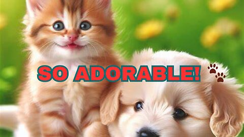 utest animals Ever! Adorable Playtime Moments You Can't Miss