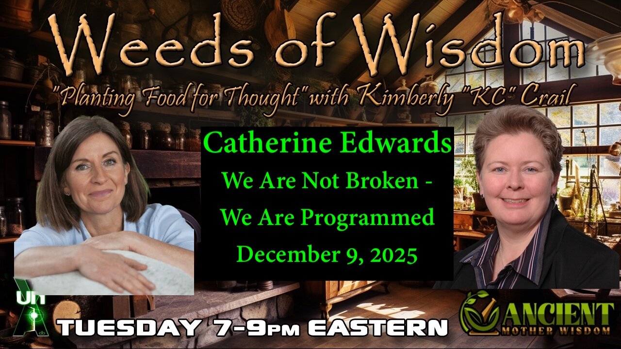 Catherine Edwards - We are not Broken - We are Programmed