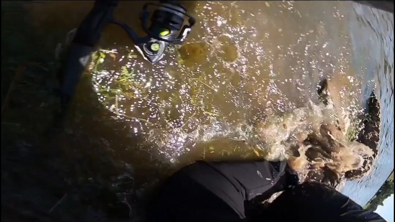 slip and fell today