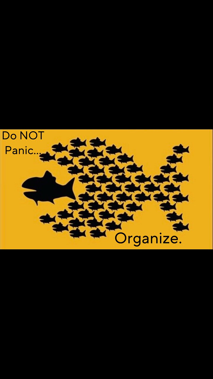 Do not Panic, Organize.