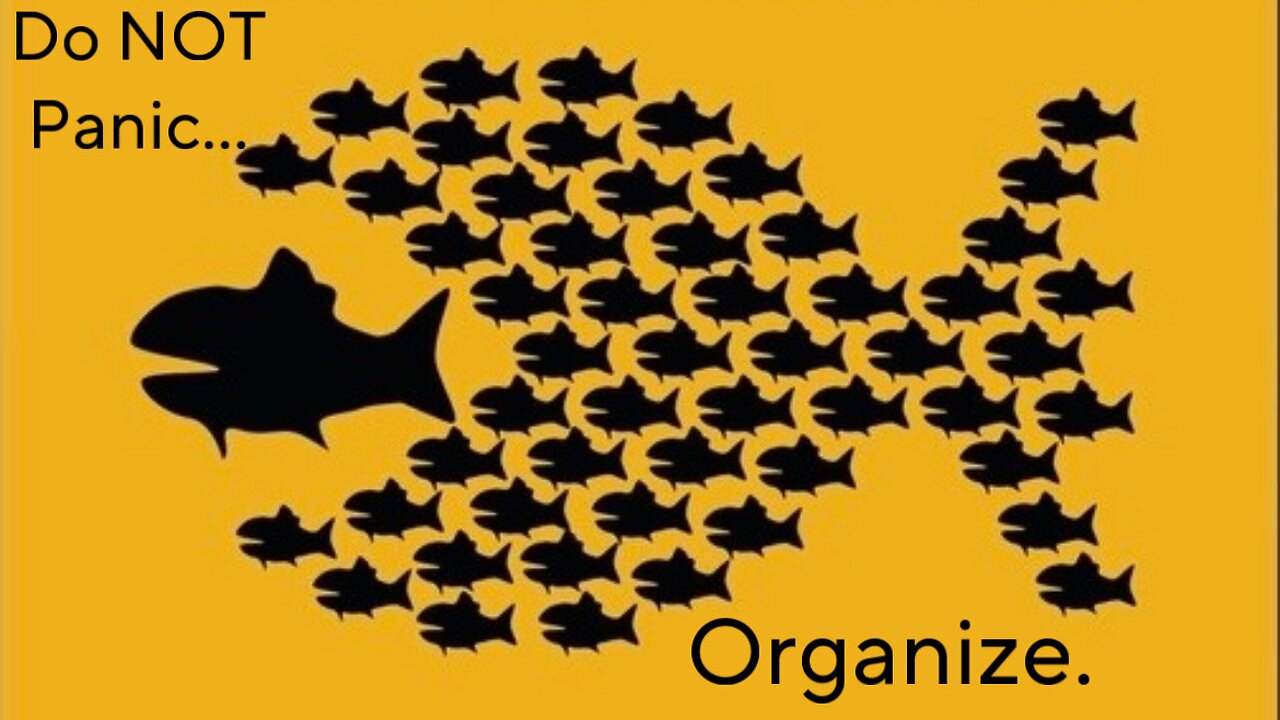 Do not Panic, Organize.