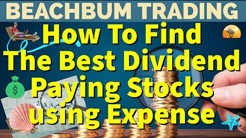 How To Find The Best Dividend Paying Stocks using Expense | Quick Take