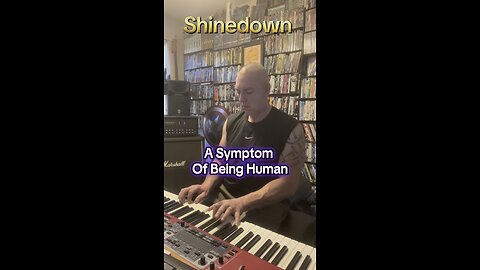 Shinedown A Symptom Of Being Human