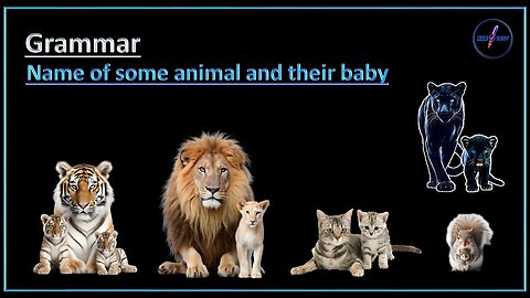 Name of some animal and their baby | ✅ |