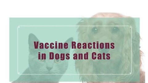 "Warning: Popular Dog Medication Linked to Fatal Outcomes - Spread Awareness Now"