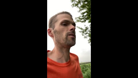Day 466: swapping runs