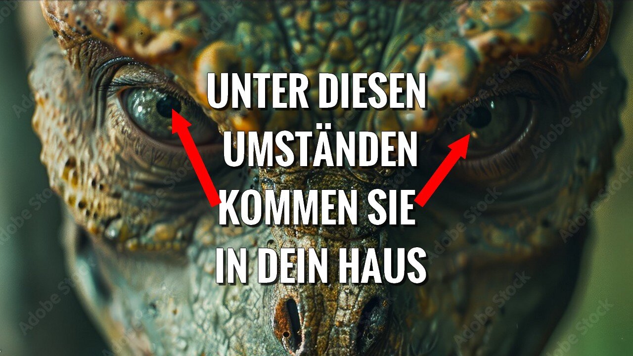 Reptilianer kommen normalerweise nicht in dein Haus, außer...